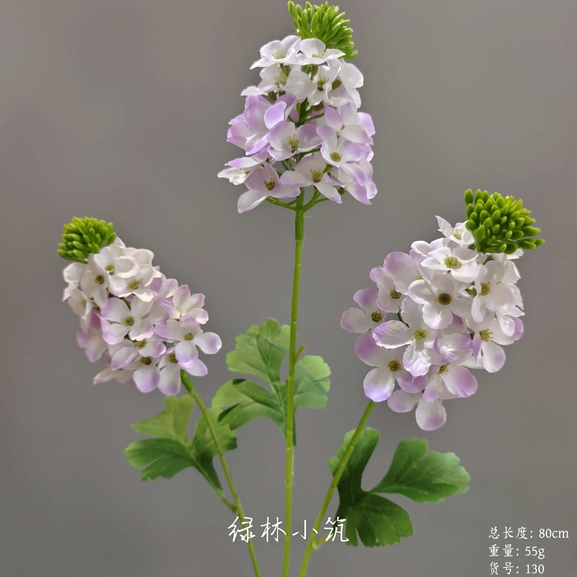 Article n° 130 - Fleur de colza à trois têtes - Lumière