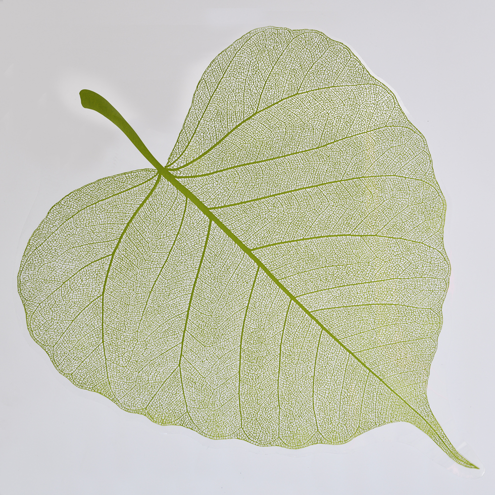 Vert