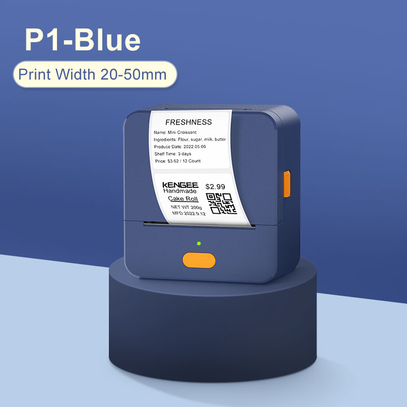 Imprimante P1-Blue