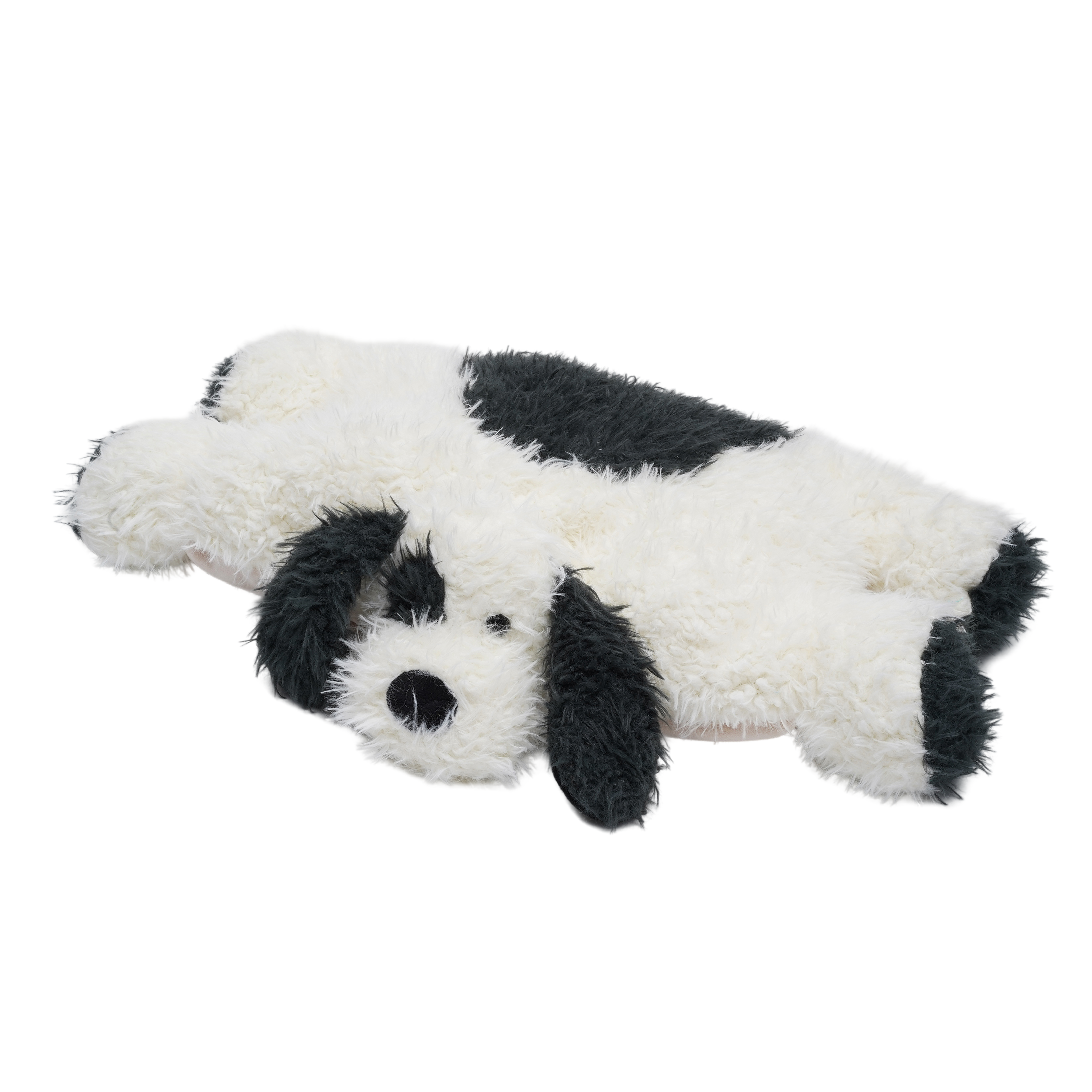 Chien