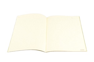 Delijia-Cuaderno para hacer ejercicio en la escuela, libreta de tamaño A4, A5, A6, B5, cubierta de PP impresa, 14x21CM, papelería, 34 hojas, uso para estudiantes - Product Image 3