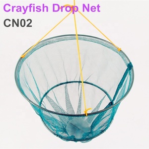 Thị trường Australia cua drop ròng, cua tôm hùm bẫy - Product Image 5
