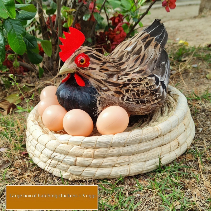 Large-frame egg incubator for 5 eggs