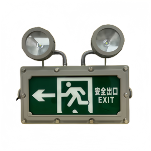 IP54 IP67 220VAC đơn đôi bên treo loại dẫn lối ra dấu hiệu ánh sáng cho trường hợp khẩn cấp mô hình tùy chỉnh ngôn ngữ phong cách - Product Image 3