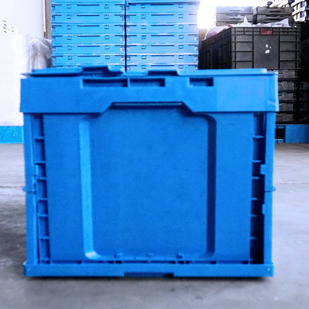 Caixa plástica reciclada resistente de armazenamento, caixas de plástico resistentes que movimentam vegetais