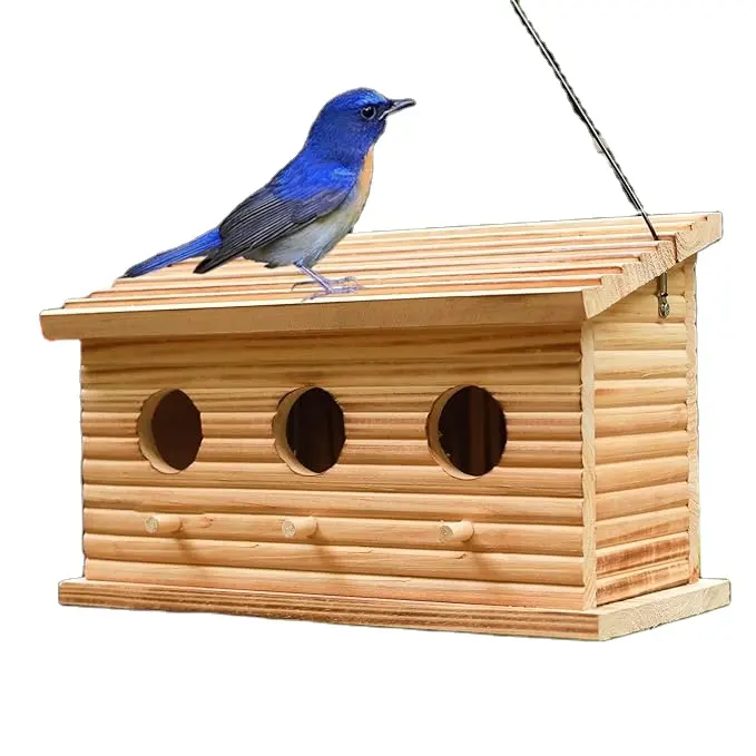 Case per uccelli per esterni, casa per uccelli all'aperto per 3 famiglie di uccelli 3 fori Bluebird Finch cardinali appesi casetta per uccelli