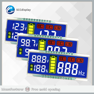 Custom 7 segmento HTN negativo Display a colori modulo SJXDGN031 schermo LCD a basso consumo energetico - Product Image 2