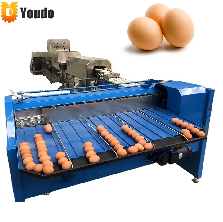 Harga Murah Otomatis Mini Alat Pembersih Peningkat Telur Pembersih Cangkang Telur dan Mesin Penyortir Ukuran untuk Peternakan Ayam