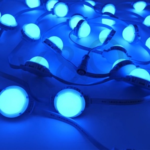 2024 caldo 3D DMX controllo piccolo RGBW LED Pixel singolo colore stringa Dream Party Light Controller Wifi - Product Image 4