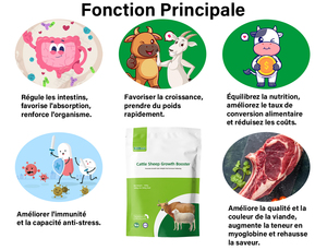 Meilleure vente dans le monde Bovins moutons Gain de poids Compléments nutritionnels Additifs alimentaires pour le bétail - Product Image 4