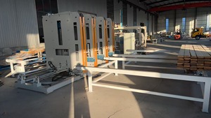 Linea macchina Stacker legno/legname Auto - Product Image 3