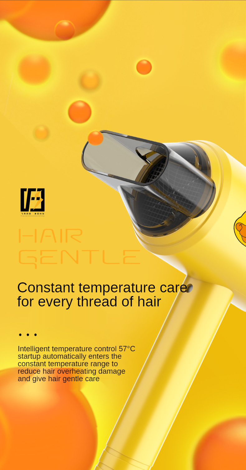 Hot Selling 800W Salon Professional DC Motor Concentrator/Ionic and Induction Function Professional blow Hair dryer