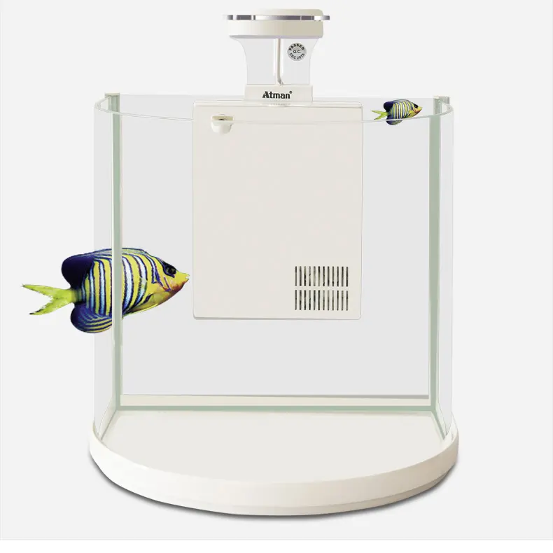 Аквариум для домашнего использования, аквариум для рыб Arowana Koi, ландшафтный аквариум для рыб