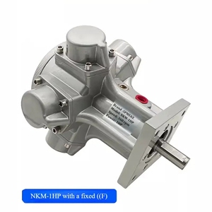 SPMEKE pistonlu hava motoru NKM-1HP mikser patlamaya dayanıklı motor çeşitli kurulum yöntemleri - Product Image 3