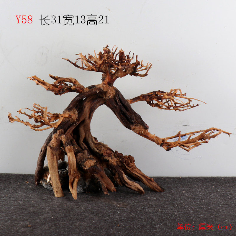 Y58 y58