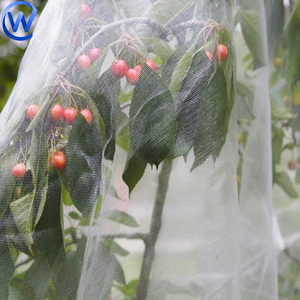 Rollo de corte de malla de jardín Mealy Bug y Control de plagas Anti Bee Bug Cover Red de tela 110 Gsm Red de insectos para agricultura de invernadero