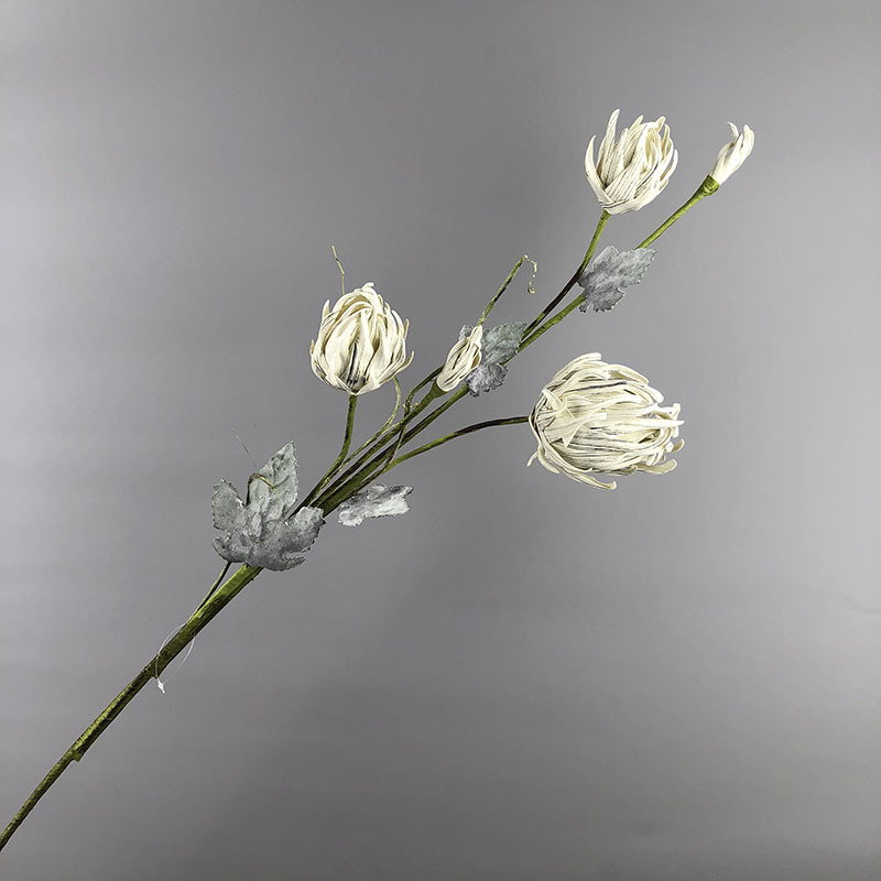 6647 blanc