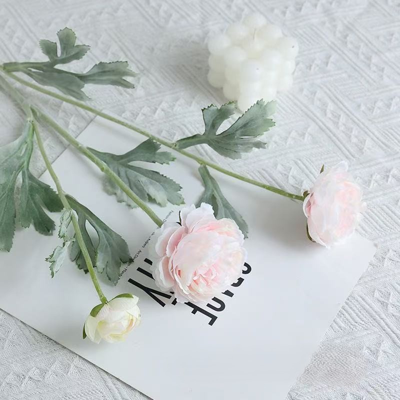 Rose2