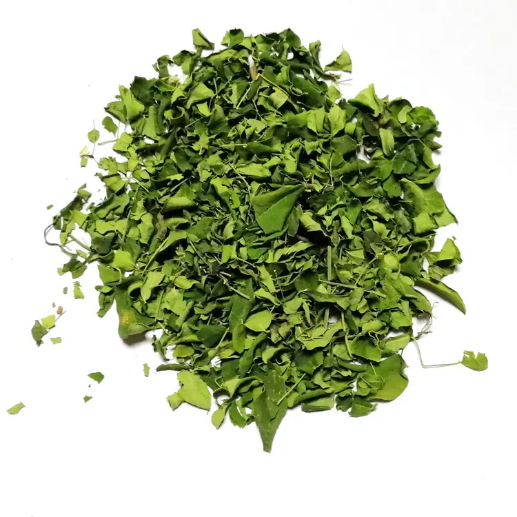 L'india essiccata verde Moringa lascia il tè intero di rafano foglia d'albero erba medicinale bevanda sciolto per polvere estratto capsula