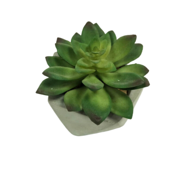 Green 5