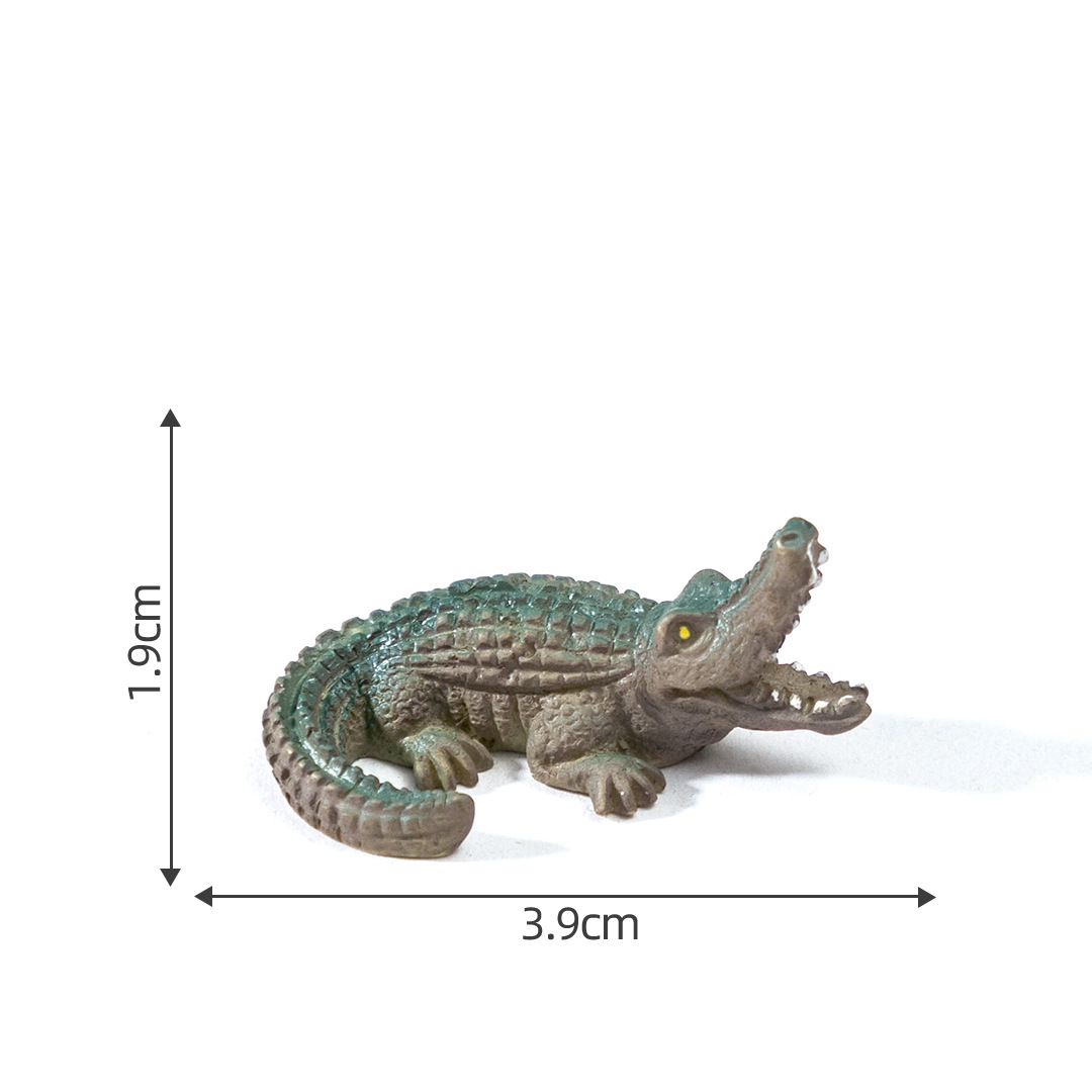 colorful 2 Chinese alligator