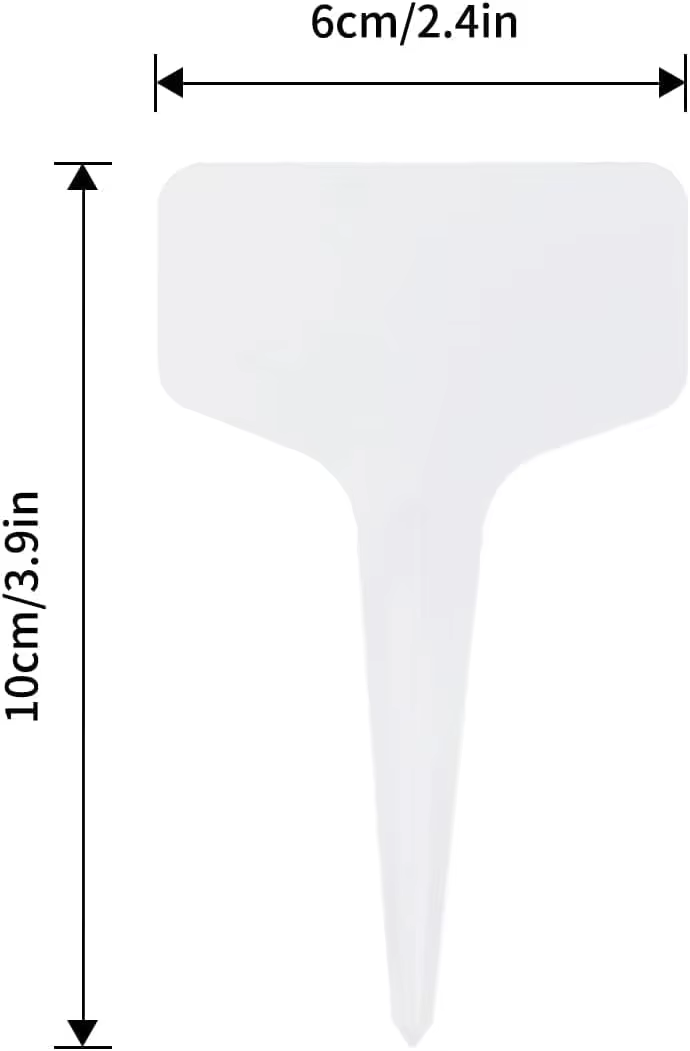 100mm