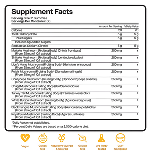 Bán buôn OEM nhãn hiệu riêng 10 trong 1 Hữu Cơ sư tử bờm nấm chiết xuất gummies bổ sung Adaptogen nootropic cho não - Product Image 3