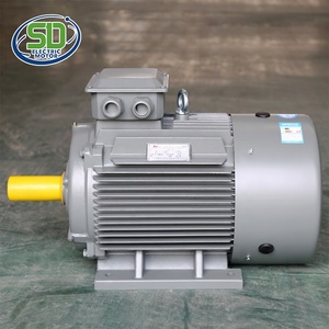 YE3 200L2 1000rpm Listrik üç fazlı 60hz <span class=keywords><strong>30</strong></span> <span class=keywords><strong>hp</strong></span> Ac 440v 6 kutuplu Motor Rpm elektrik motorları 22 <span class=keywords><strong>kw</strong></span>