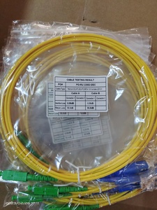 Dierite RJ45 Cat6aパッチコード2.0mm 3.0mmシングルモードWiFiリピーター光ファイバー装置SC/APC-SC/UPC FTTH用