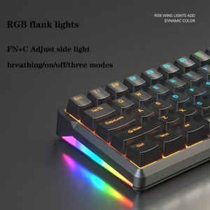 60% การฉีดขึ้นรูปสองสีแป้นพิมพ์แบบกลไกสำหรับเดสก์ท็อปปุ่มหมุน RGB 66คีย์สำหรับเล่นเกม - Product Image 3