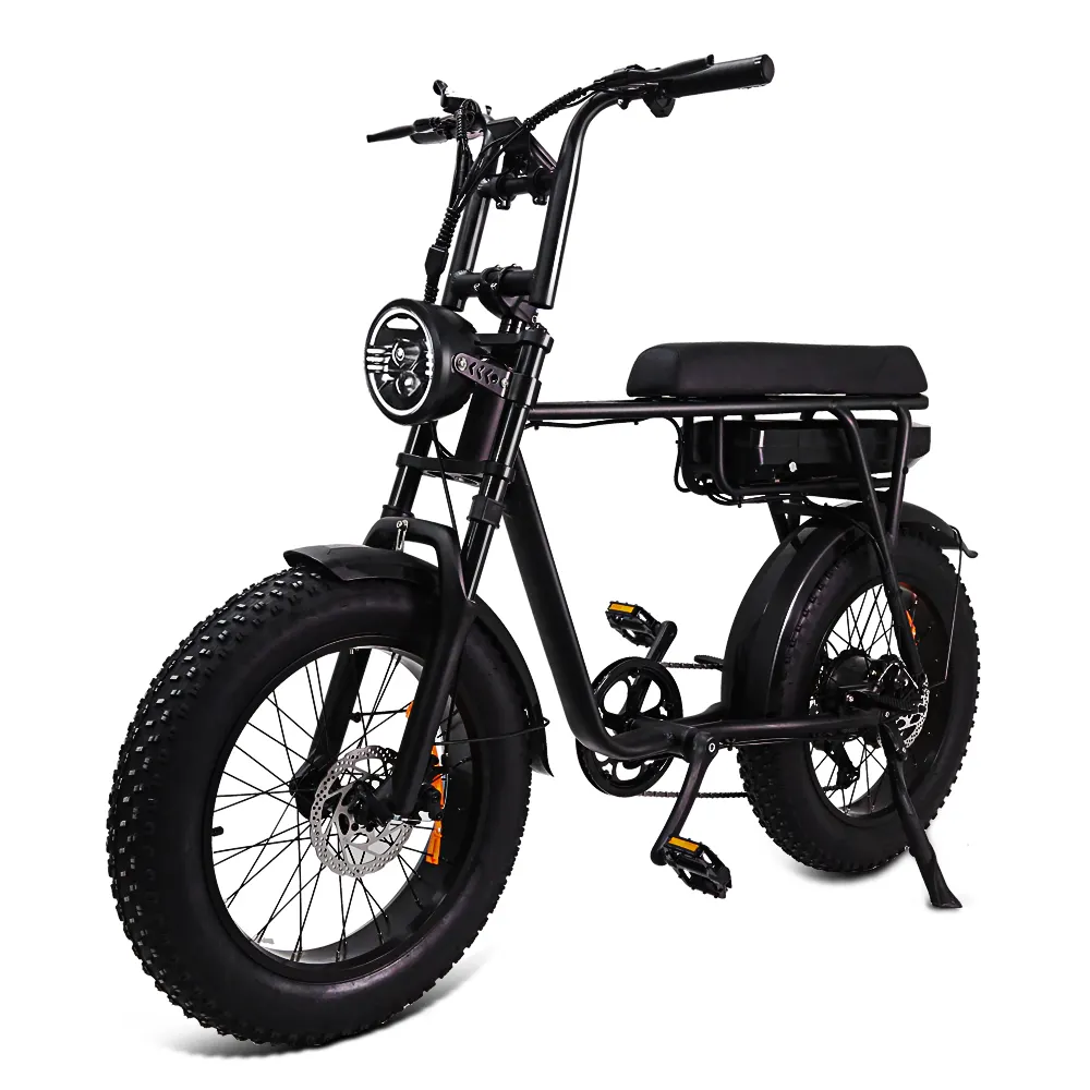 Tourwheel EU Warehouse Fat Bike Vélo Adultes 20 pouces Hors Route Ebike Gros Pneu Elektrische Fiets Fatbike 250w Vélo Électrique