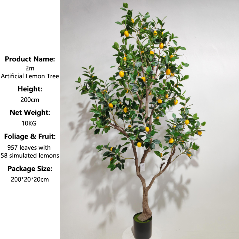 Green 210cm