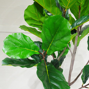 ต้นมะเดื่อปลอมสำหรับตกแต่งในร่ม - Product Image 2