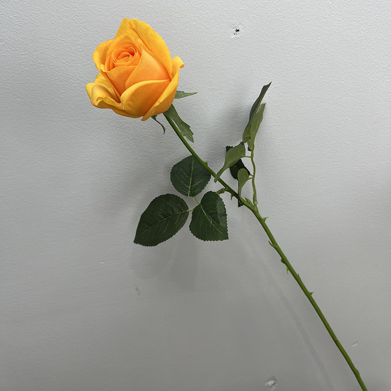 สีส้ม