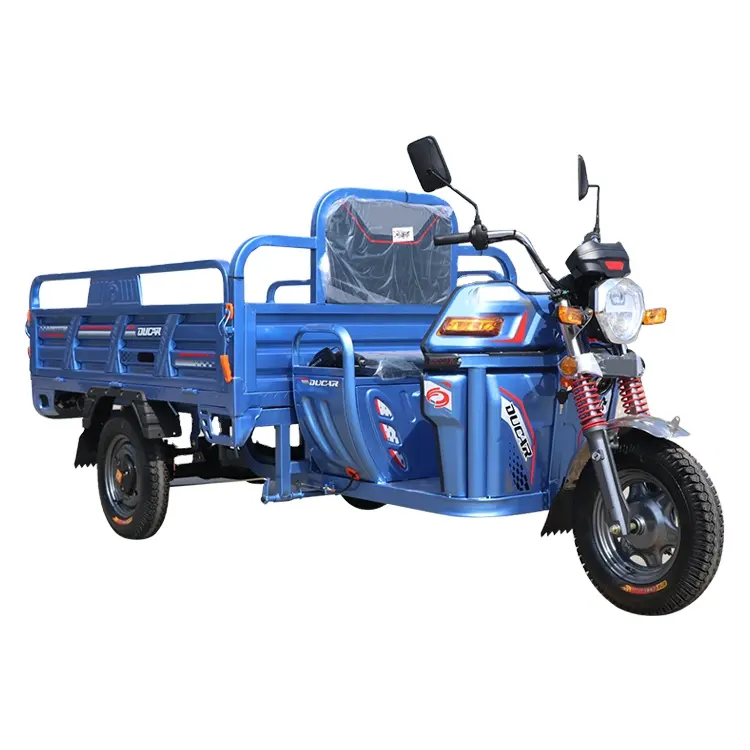 Китай трехколесный 1000 Вт бензиновый двигатель грузовик мотоцикл грузовой Электрический трехколесный велосипед
