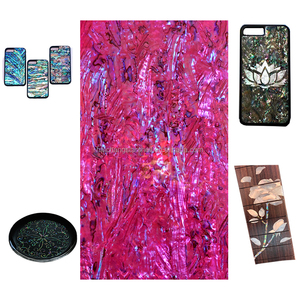 DB041 Sea Shell Design Sticker Abalone <strong>Paua</strong> Shell Sheet - Product Image 1