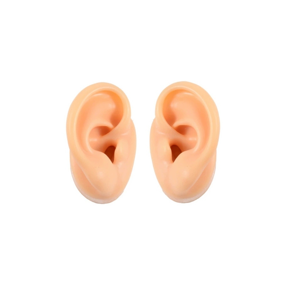 Oreille gauche légère avec support