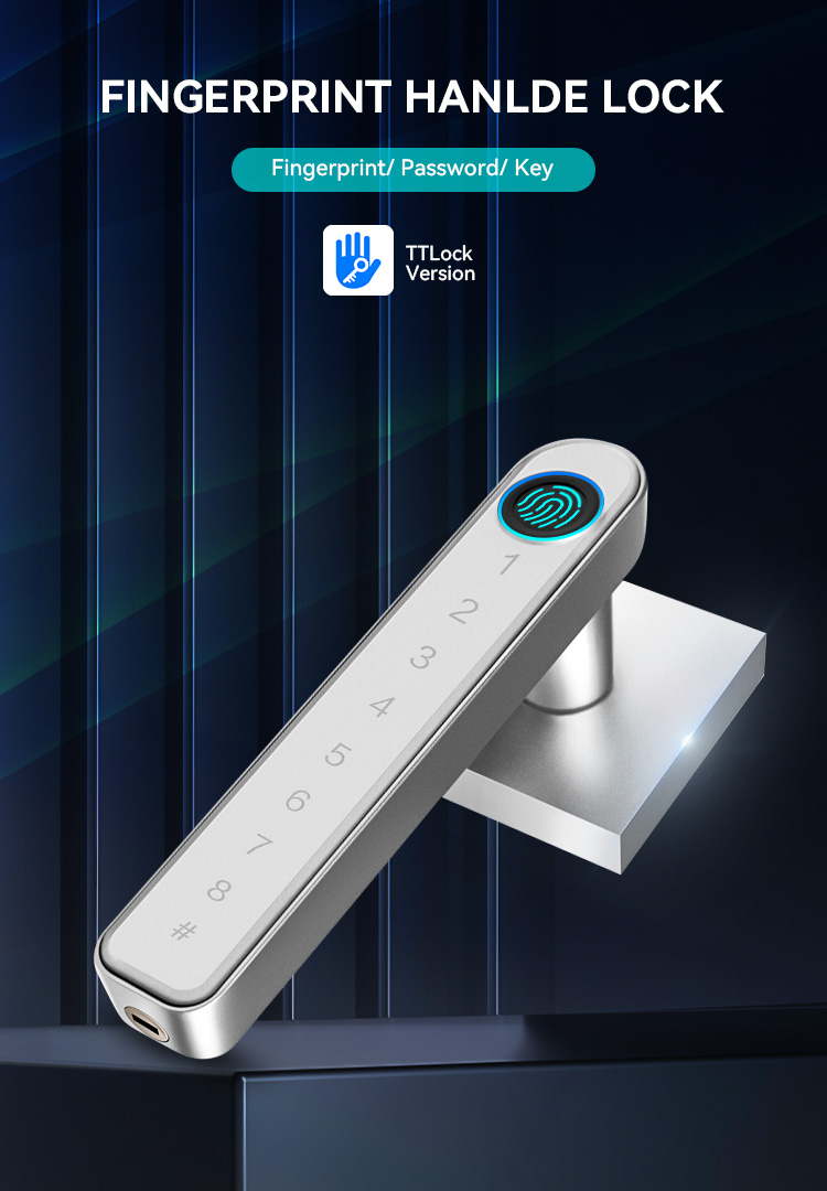 Cheap Fashion Waterproof Digital Biometric Security Fingerprint  Keypad Home Ttlock Phone Door Smart Lock