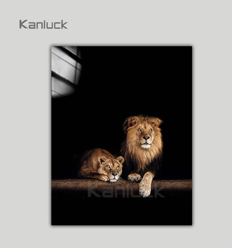 Africa lion animal canvas art painting pictures with glossy wall art