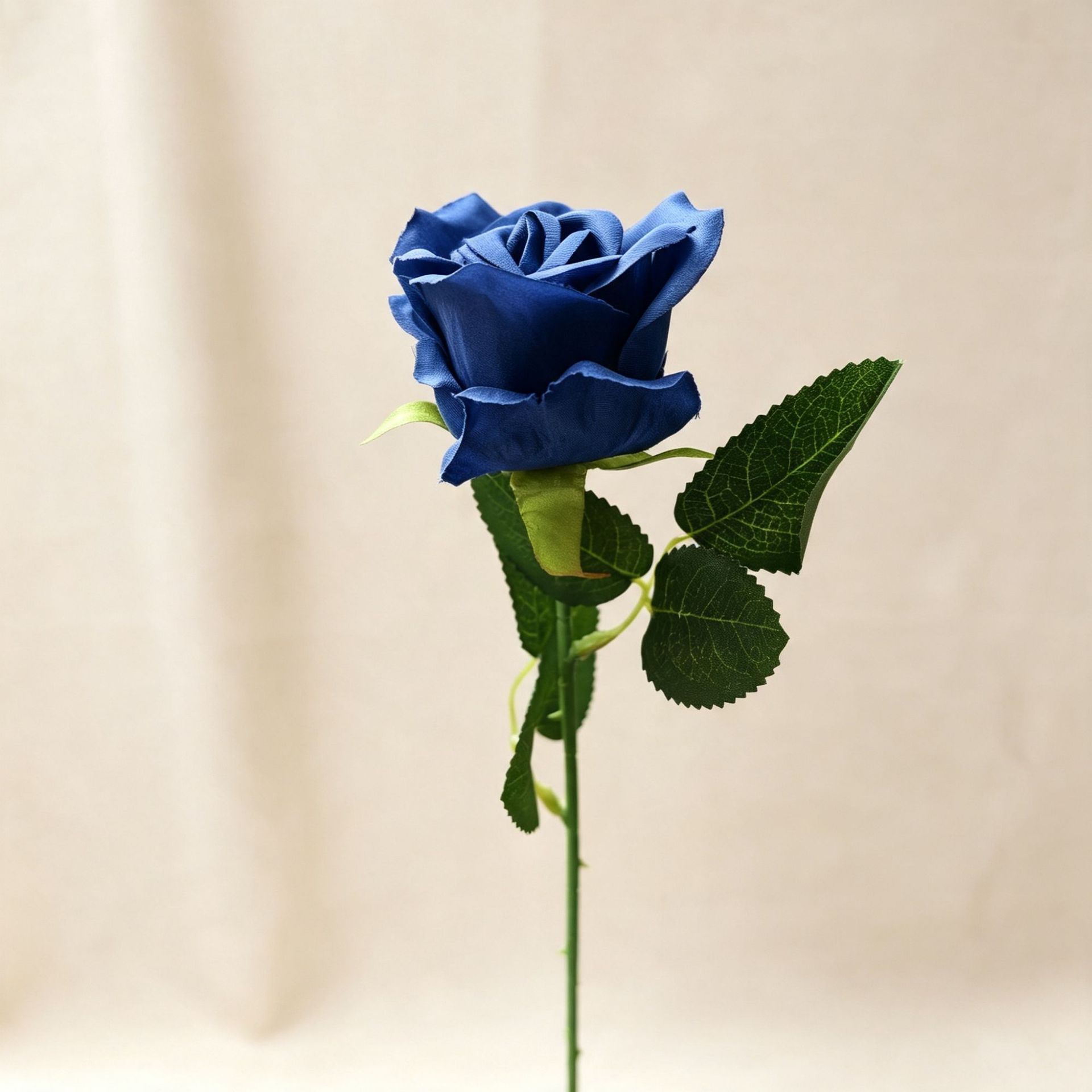 Sapphire blue rose