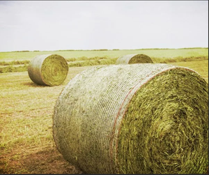 Wrap It Tight: Bale Wrap <strong>Netting</strong> <strong>Essentials</strong> for Safe and Easy Farming - Product Image 6