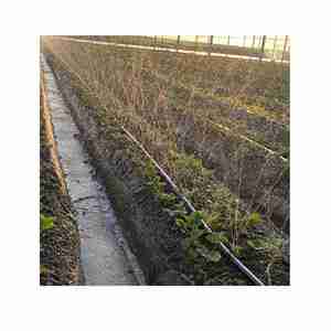Neetrue <strong>45mm</strong> Micro Irrigation Supplies Double Wings Spray Lay Flat <strong>Hose</strong> Suppliers - Product Image 4