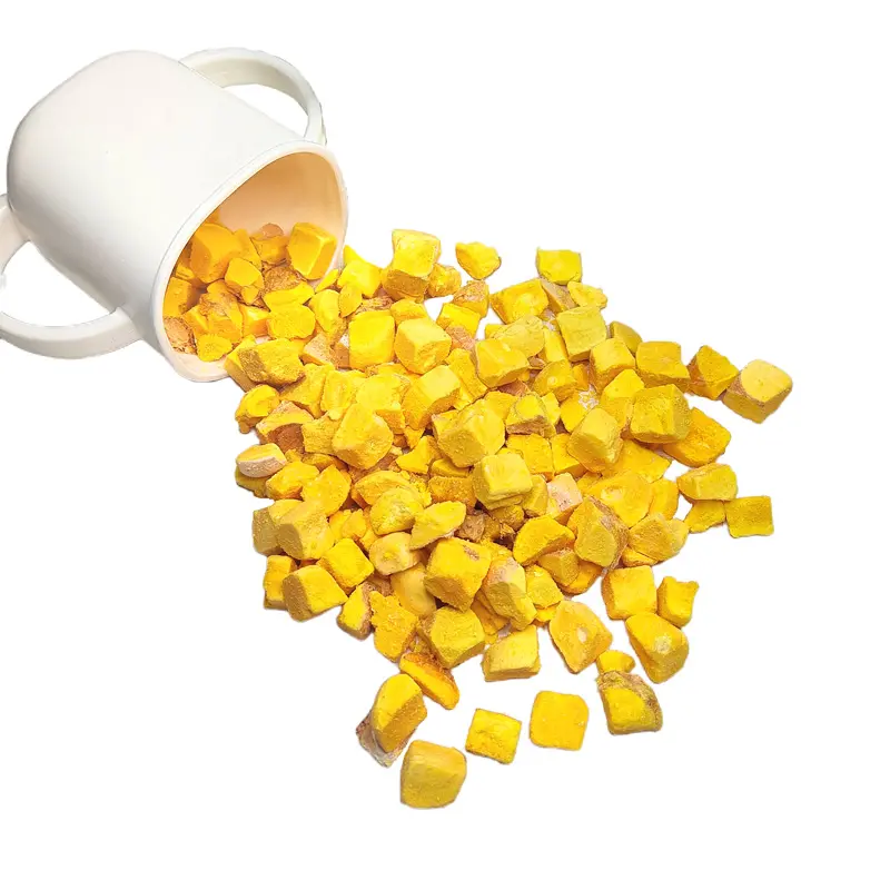 Penjualan laris pabrik persediaan hewan peliharaan nutrisi tinggi alami premium 0-tambah makanan kucing kuning telur kering
