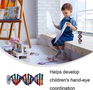 DNA modeli çift sarmal modeli bileşen İnsan genleri DNA moleküler kiti yaratıcı çift Spiral bilim için Model birleştirin - Product Image 5