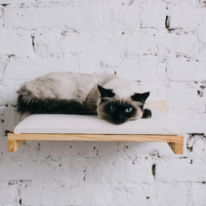 Uyku oyun tırmanma modern serbest duvar rafı asılı kedi yatak levrek yumuşak mat ile - Product Image 1