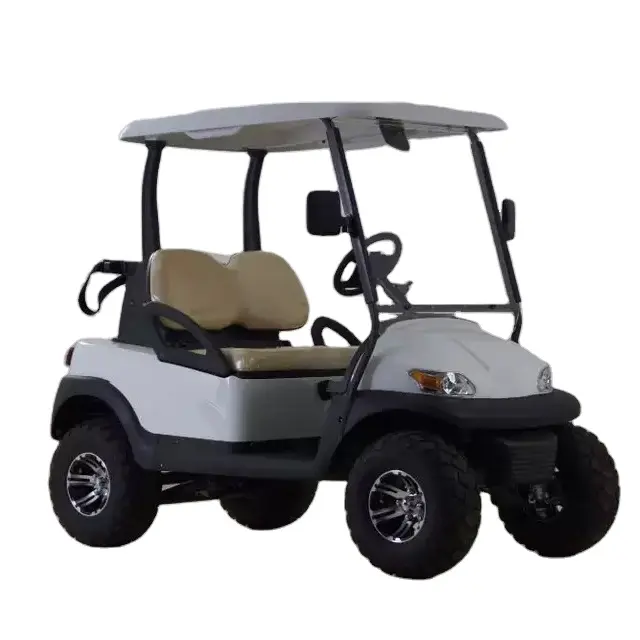 Accepter le pneu personnalisé à 2 sièges, roues, voiture électrique pour 2 personnes, véhicule utilitaire, voiture de golf