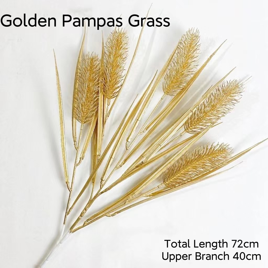 Herbe de pampa dorée