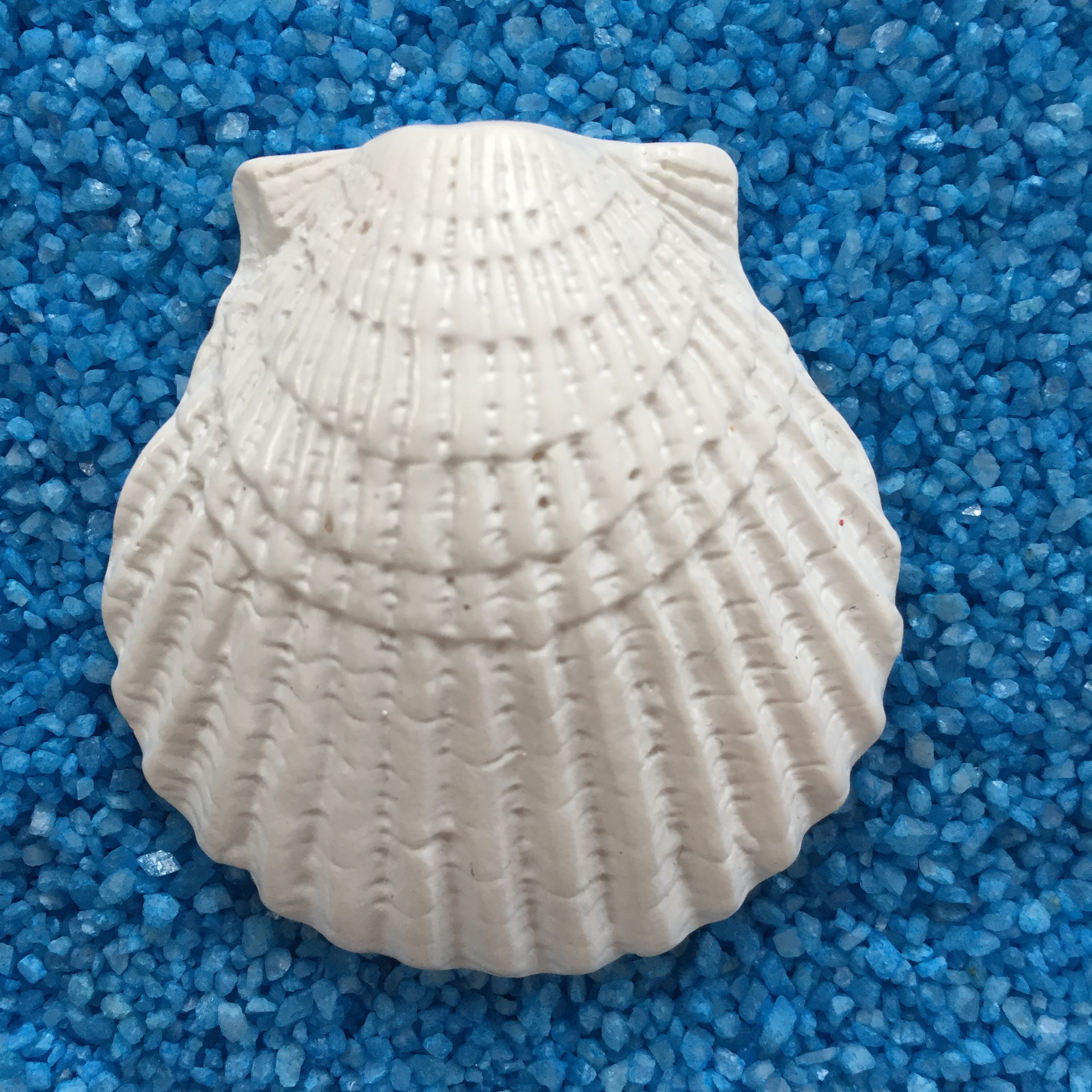 Conchiglie 5 cm