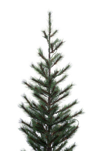 Standard Xmas <strong>Tree</strong> 60&quot; 130 Lights Christmas <strong>Tree</strong> Crafts 213 Tips Hot Needle Pine Christmas <strong>Tree</strong> With Burlap Half-Round Base - Product Image 3