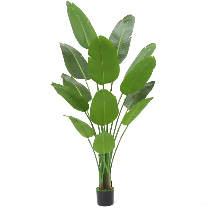 Banane voyageuse 190 cm